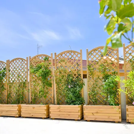 Dreaming Bed and Breakfast